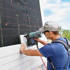 Best Siding Painting and Refinishing  in Forest Heights, TX